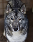 image-09-11-20-14-49-2