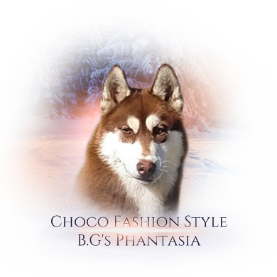 i choco