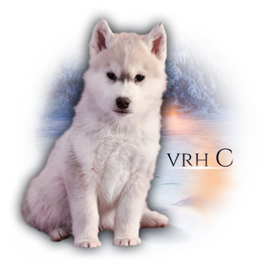 vrh c