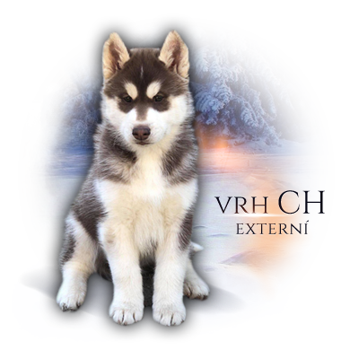 vrh ch externi